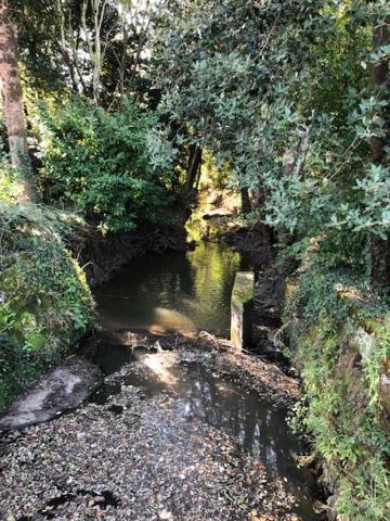 Gite Du Moulin De La Virvee Saint-André-de-Cubzac Dış mekan fotoğraf